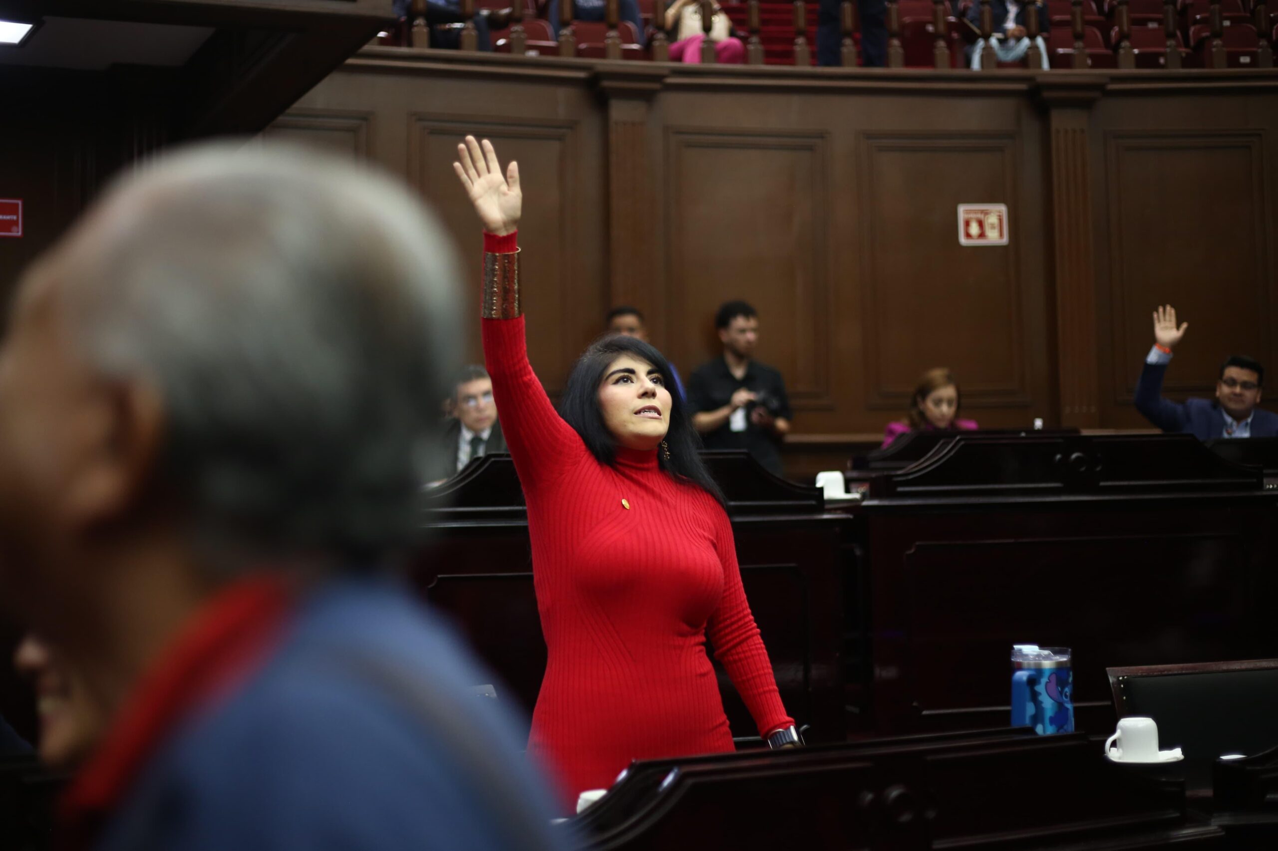 Garantizar intérpretes de señas en todas las oficinas públicas, propone Vanhe Caratachea
