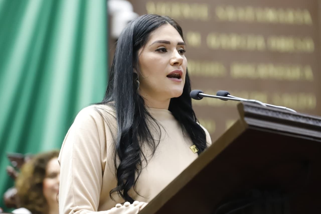 Congreso michoacano evalúa hacer obligatoria la enseñanza de letra cursiva en primaria y secundaria