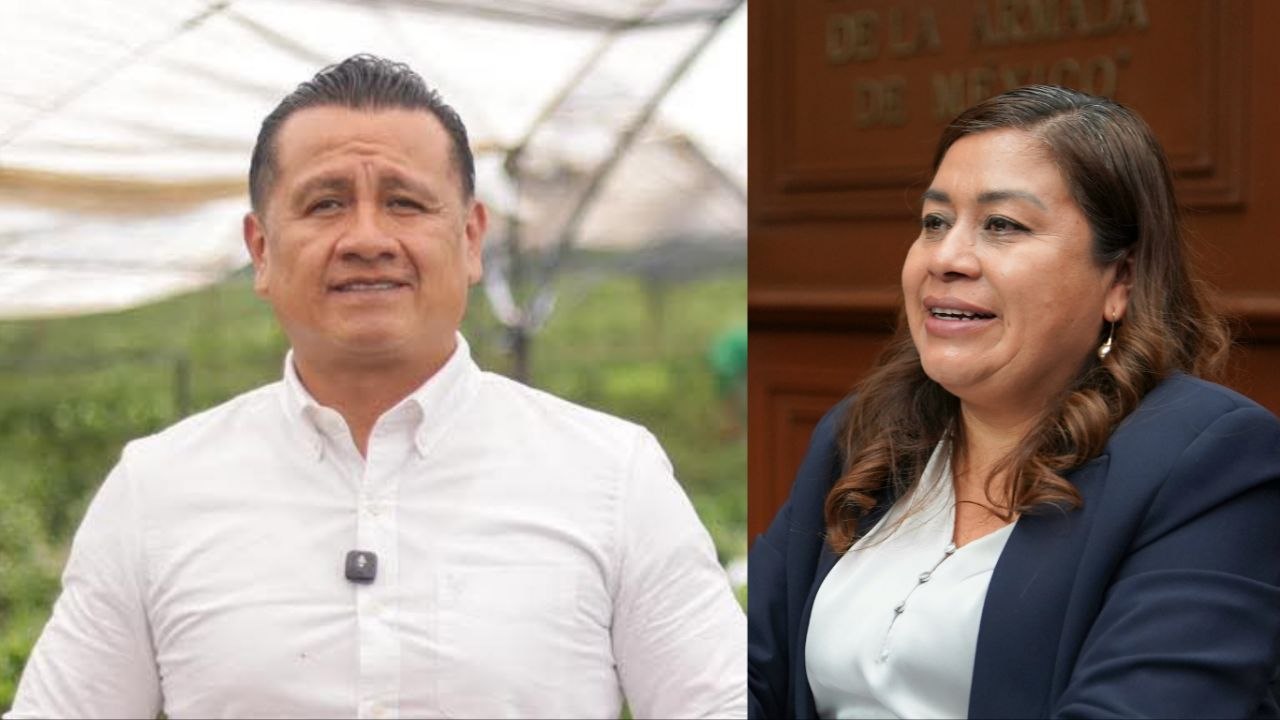 Torres Piña tiene la experiencia para proteger al campo y la economía del Bajío: Belinda Iturbide