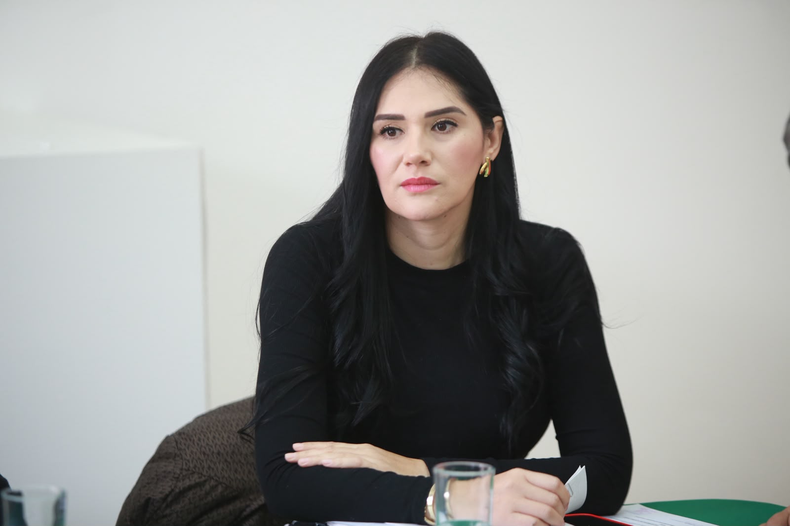 Presidenta de Asuntos Electorales, Diana Espinoza, se reúne con Consejeros del IEM